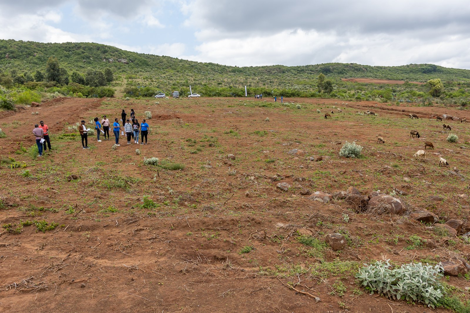 Sunset Estate 3, Kikuyu Nachu - 50x100 plots for sale with ready title deeds